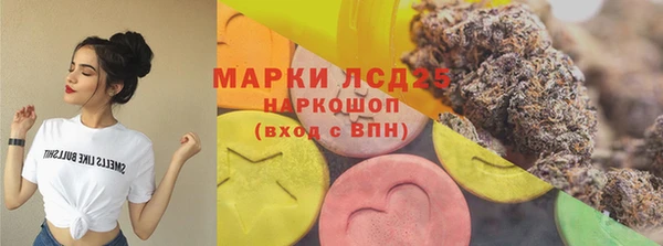 хмурый Верея