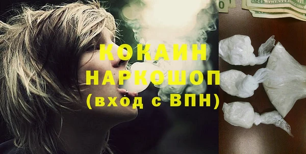 шишки Волоколамск