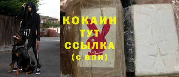 шишки Волоколамск