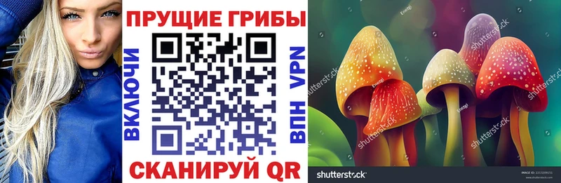Псилоцибиновые грибы Cubensis  Володарск 